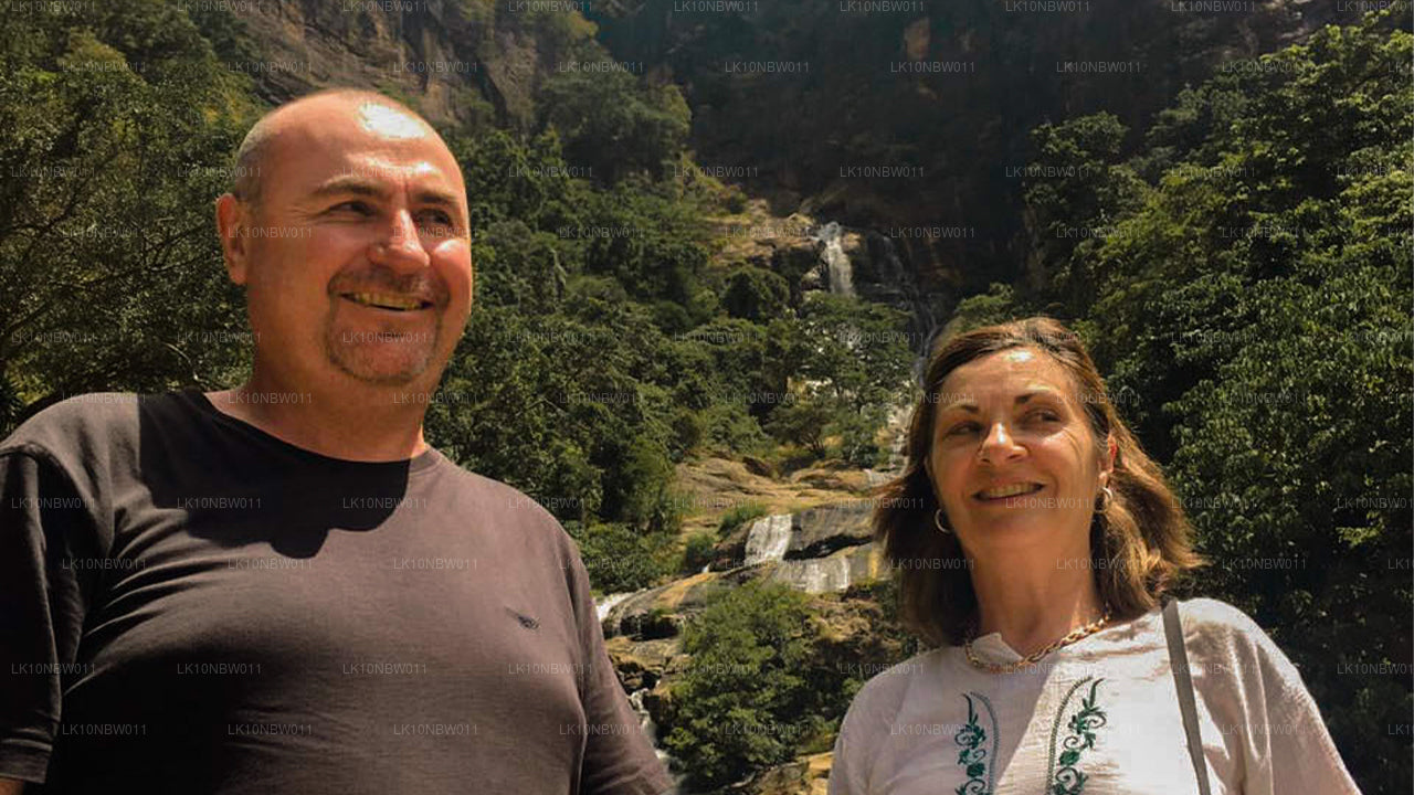 Les temples et la nature (23 jours)