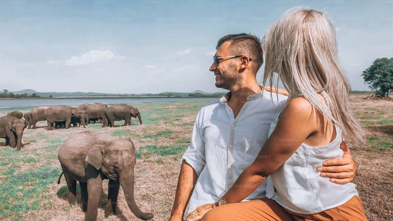 L'incroyable Sri Lanka (24 jours)