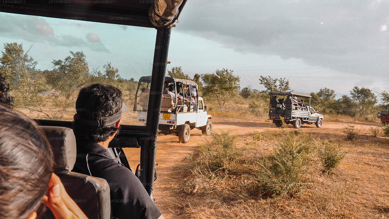 L'incroyable Sri Lanka (24 jours)