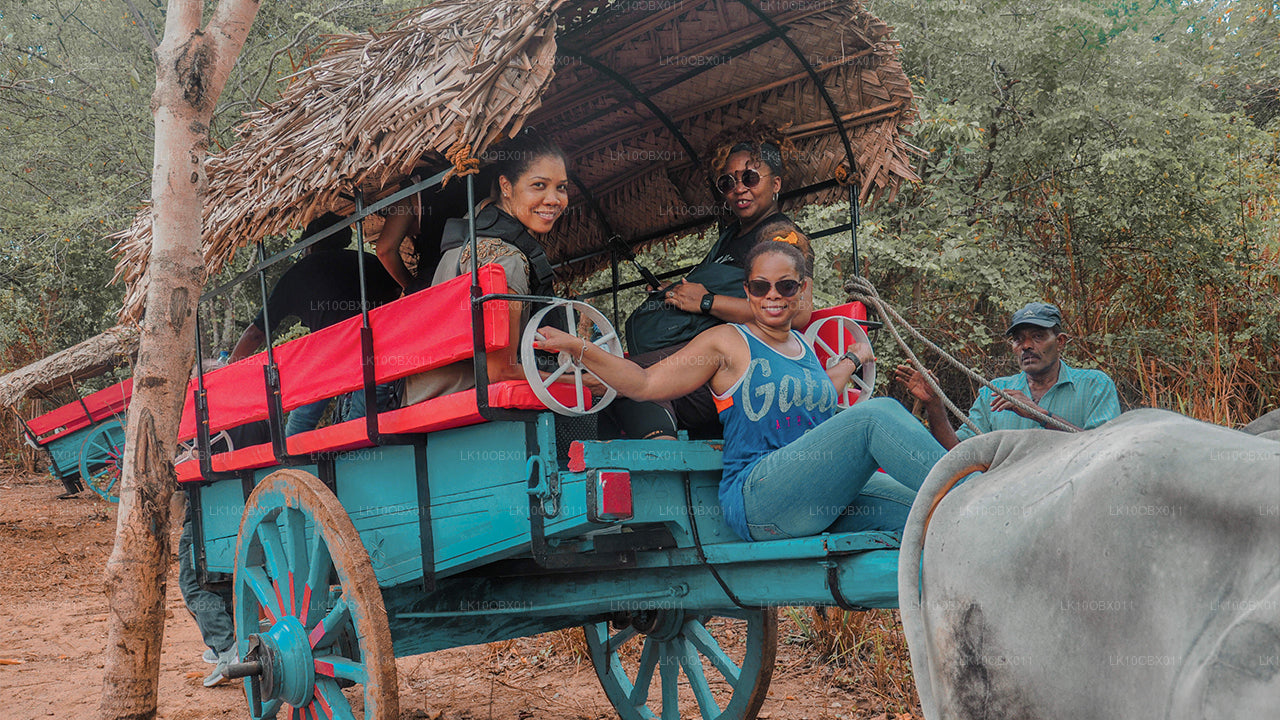 L'incroyable Sri Lanka (24 jours)