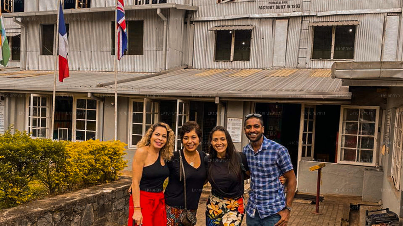 Ceylan Endearment (25 jours)