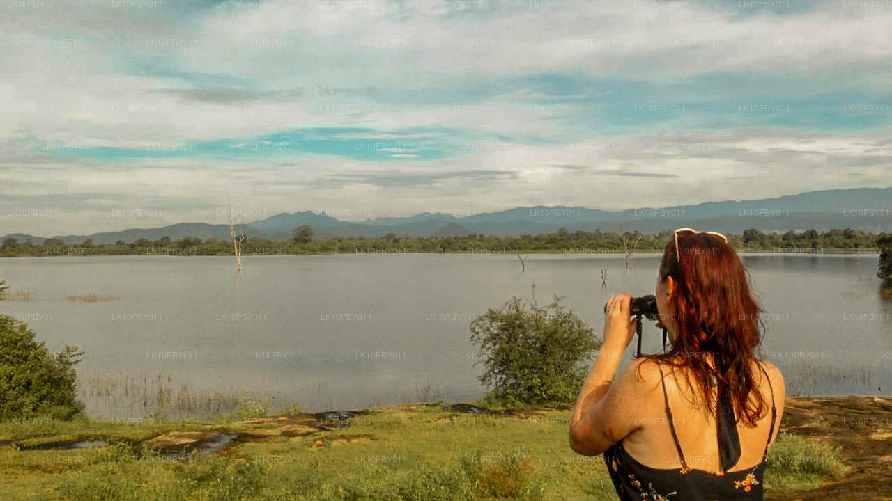 Ceylan Endearment (25 jours)