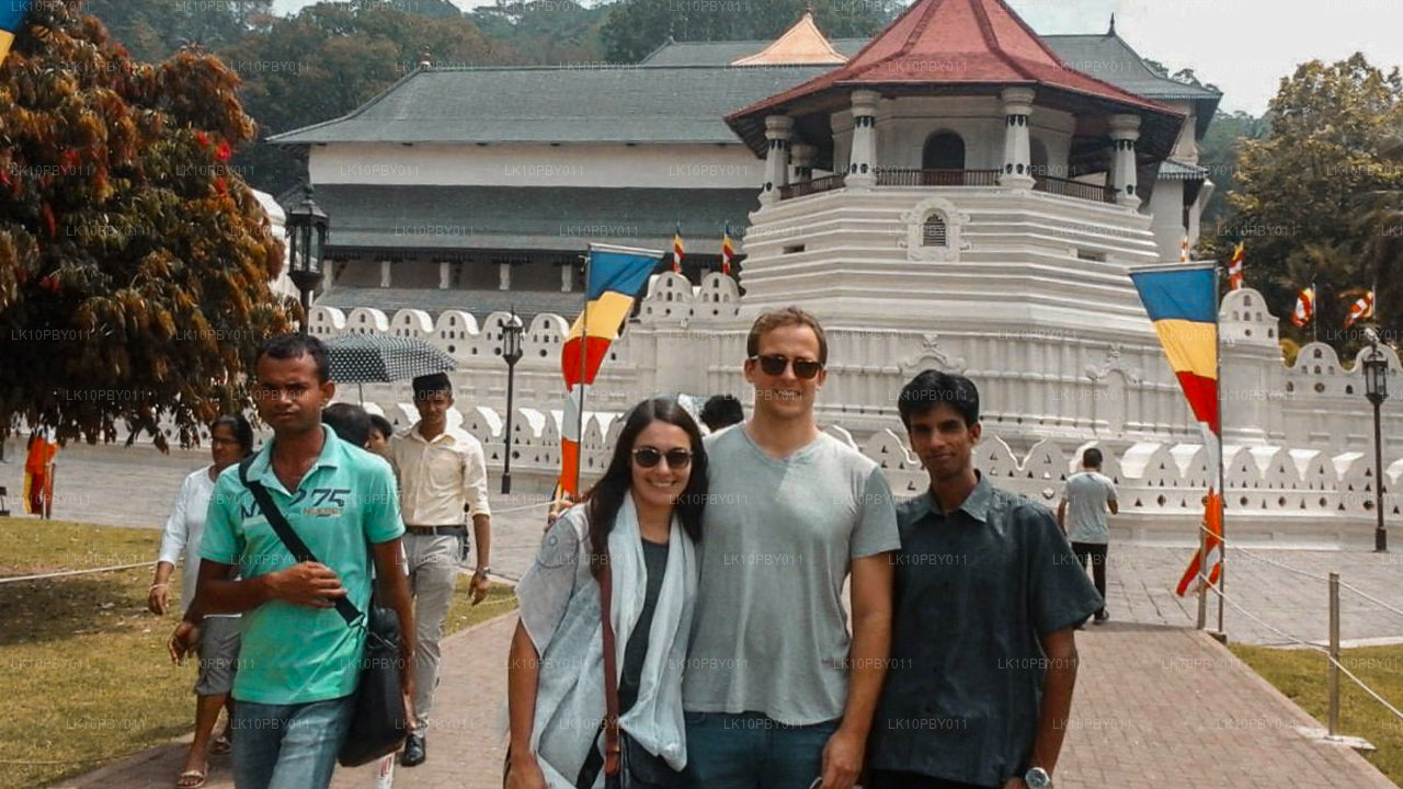 Ceylan Endearment (25 jours)