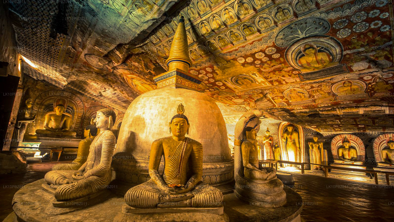 L'incroyable Sri Lanka (25 jours)