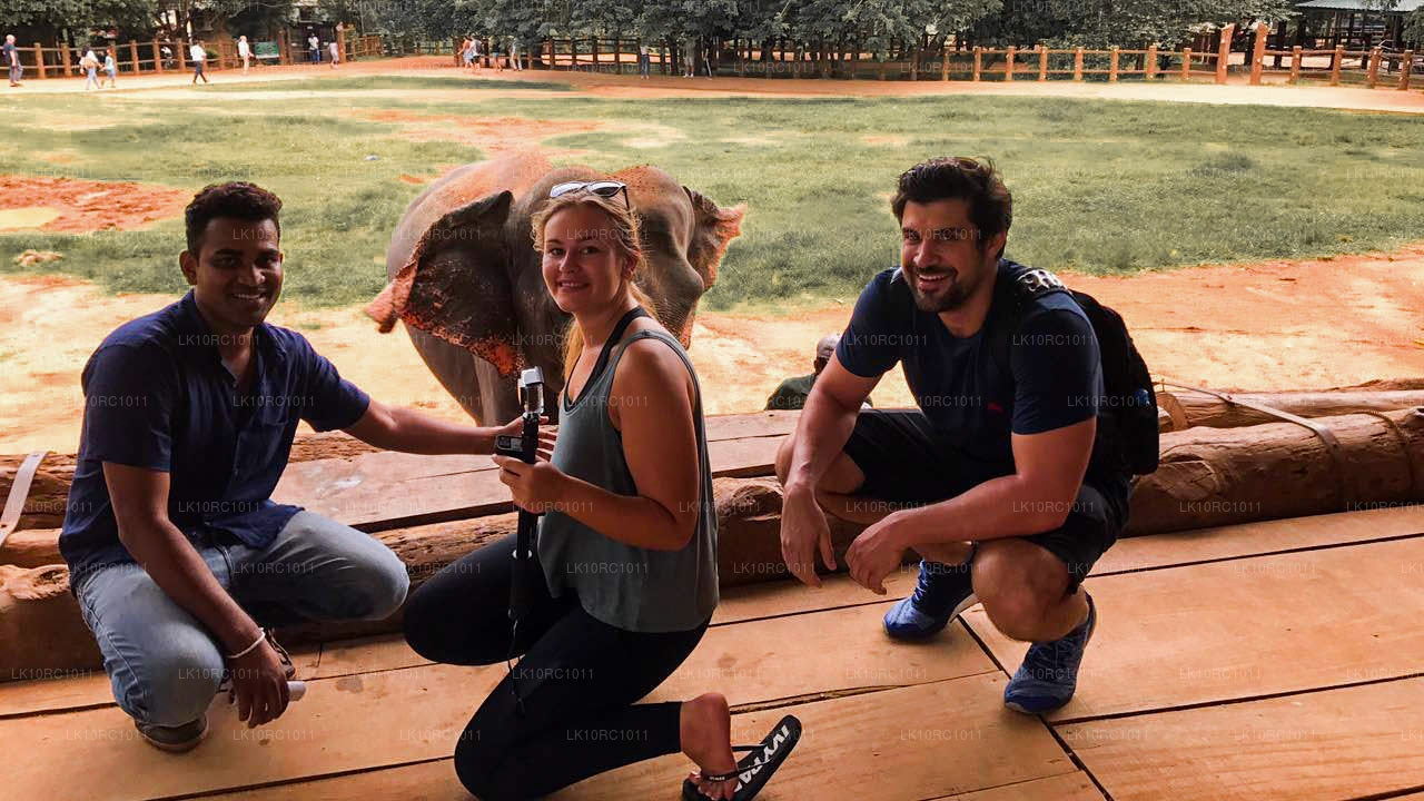 Ceylan Endearment (27 jours)