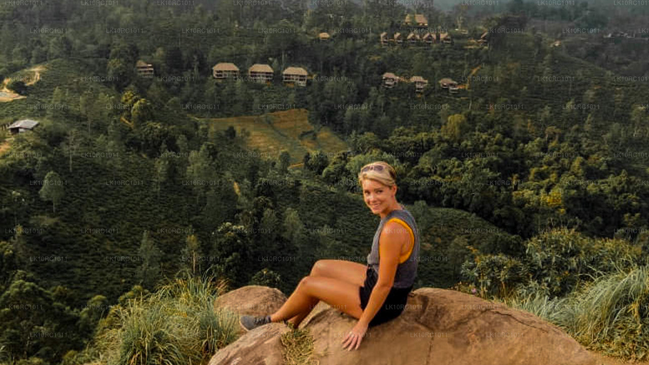 Ceylan Endearment (27 jours)