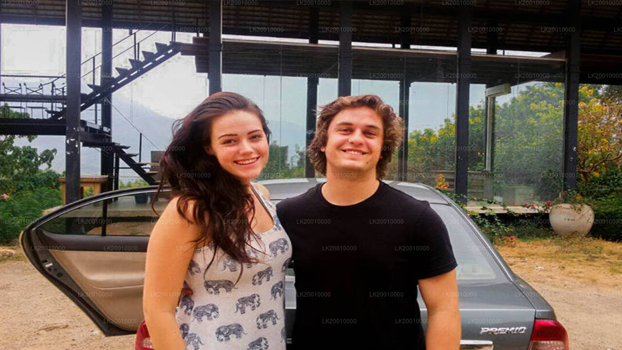 Location de voiture avec chauffeur (standard)