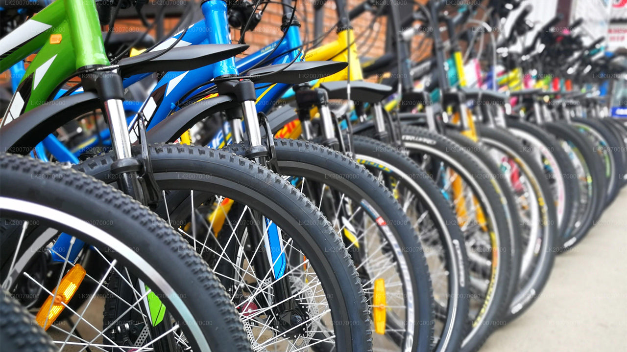 Location de VTT à Kandy