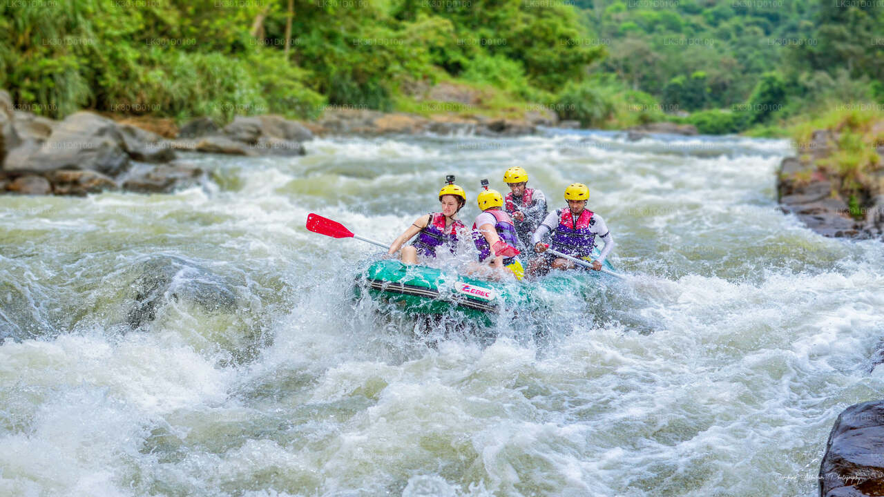 Rafting en eaux vives au départ de Kitulgala (5 km)