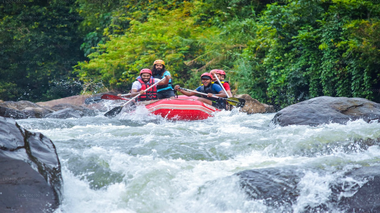 Rafting en eaux vives au départ de Kitulgala (5 km)