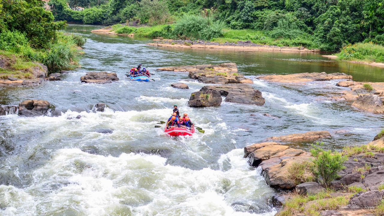 Rafting en eaux vives au départ de Kitulgala (5 km)