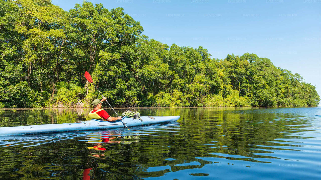 Canoë-kayak au départ de Kitulgala