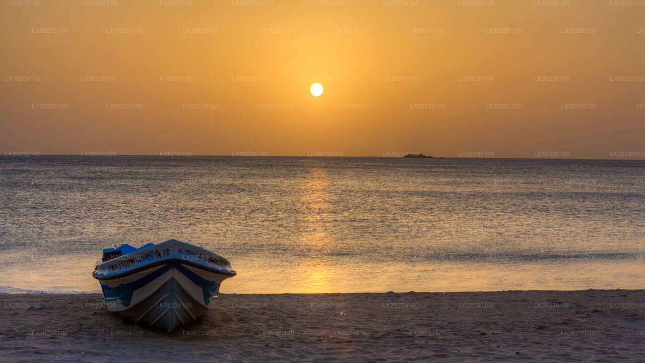 Dolphin Watching Boat Tour from Trincomalee