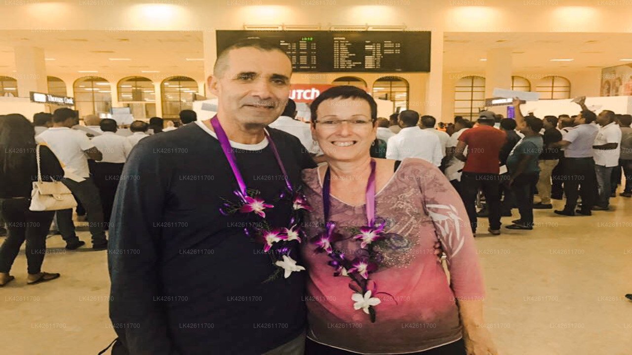 Transfert privé de la ville de Negombo à l'aéroport de Colombo (CMB)