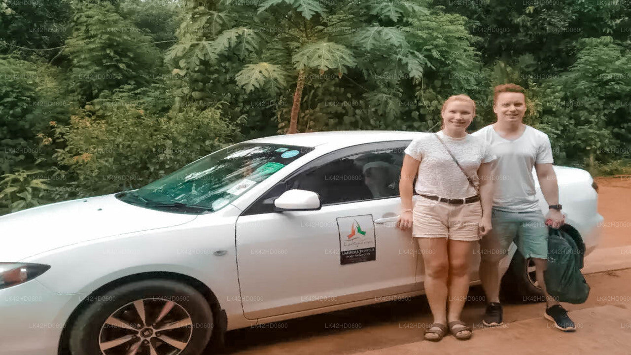 Transfert privé de la ville d'Elephant Pass à la ville d'Anuradhapura