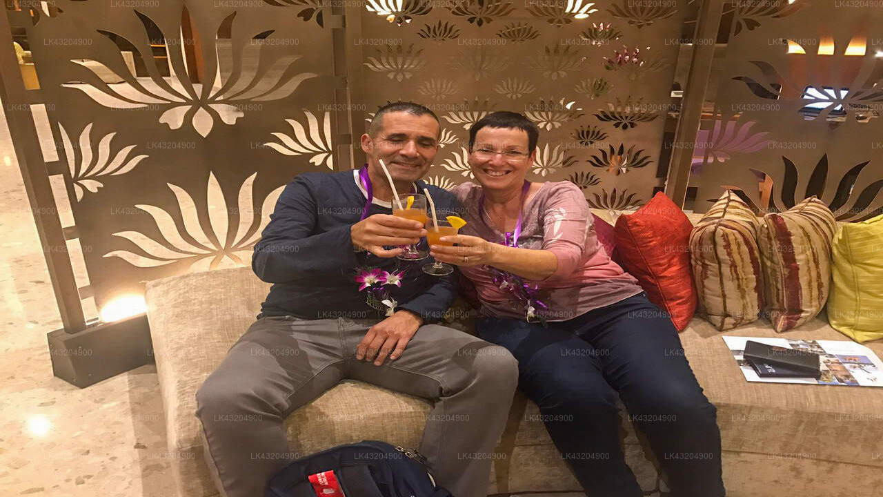 Transfer between Colombo (CMB) Airport and Calamansi Cove by Jetwing, Balapitiya