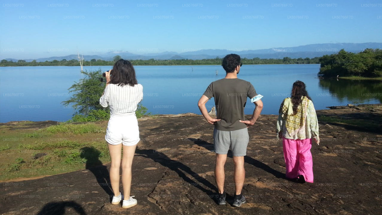 Safari privé dans le parc national d'Udawalawe avec un naturaliste