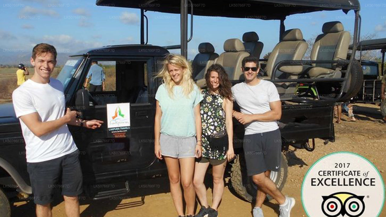 Safari privé dans le parc national d'Udawalawe avec un naturaliste