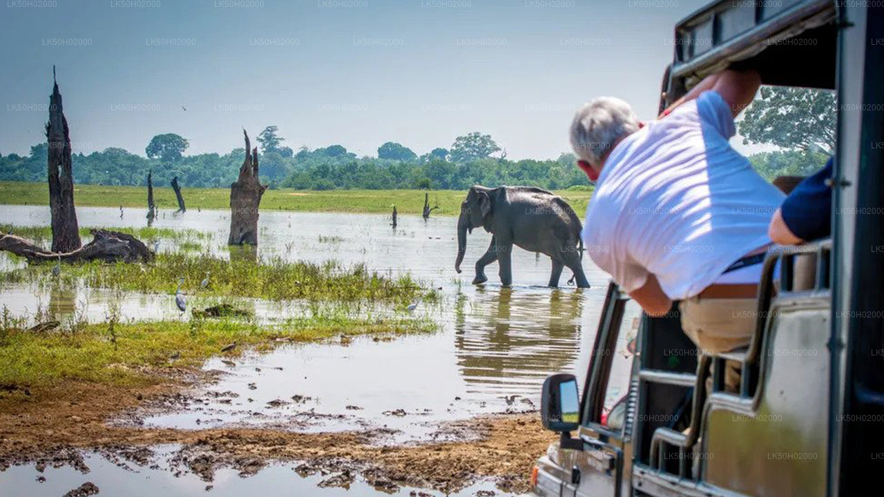 Safari privé avec un naturaliste dans le parc national de Bundala