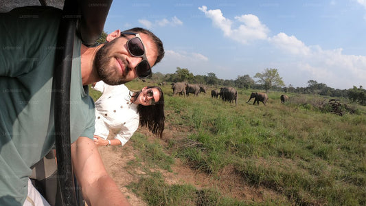 Safari privé au parc national de Wasgamuwa