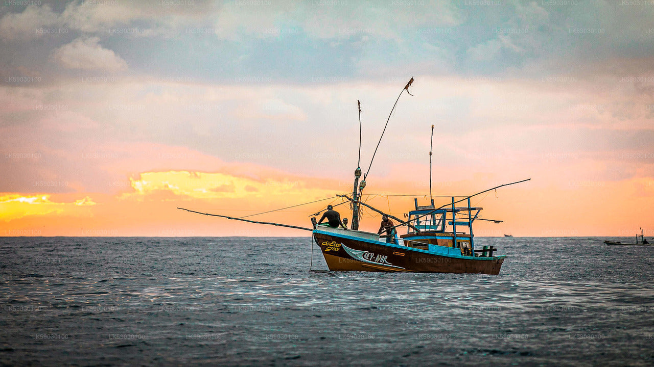 Excursion en bateau de pêche en haute mer au départ de Bentota