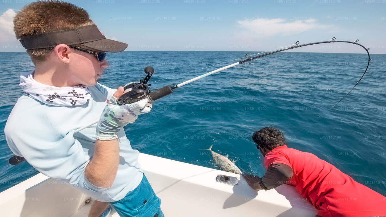 Excursion en bateau de pêche en haute mer au départ d'Hikkaduwa