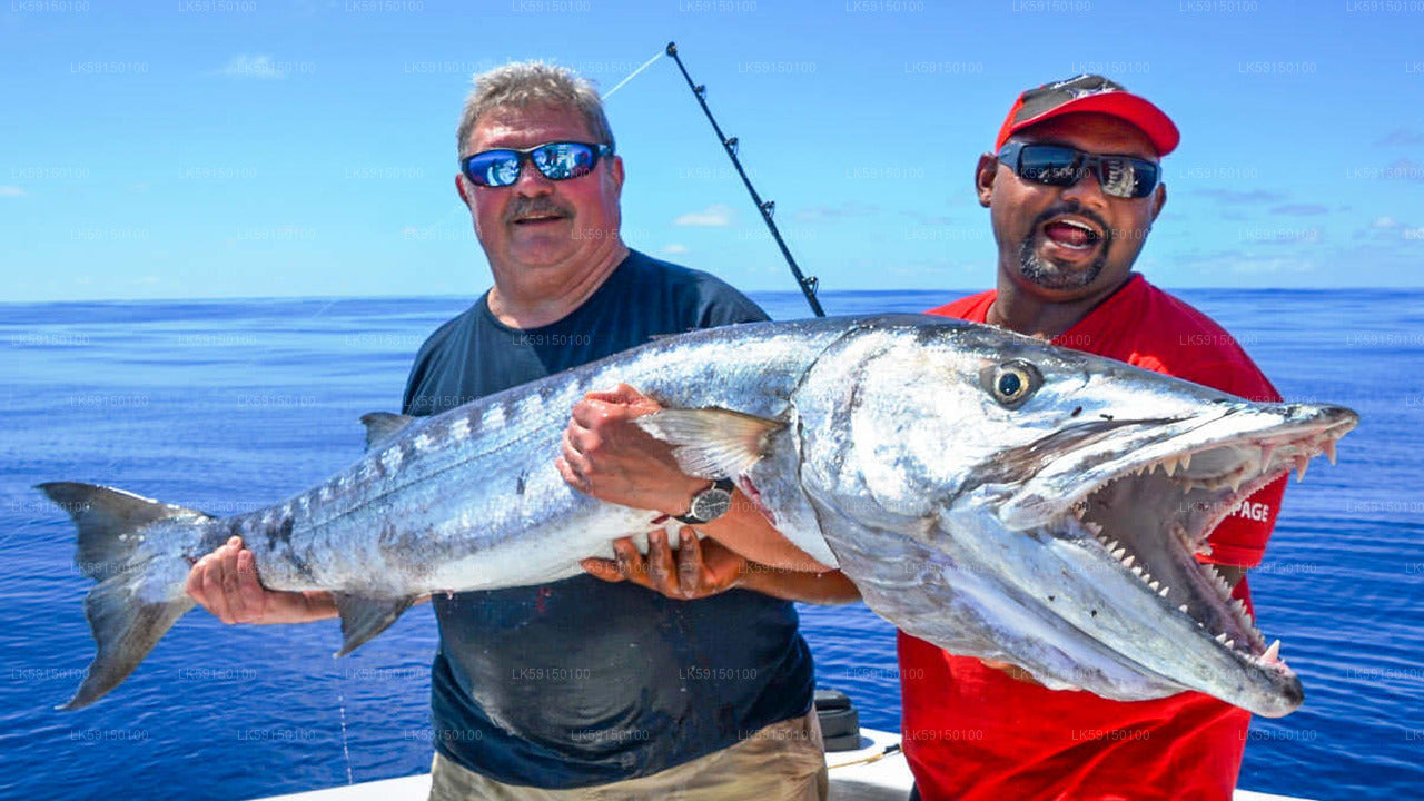 Excursion en bateau de pêche en haute mer au départ de Kalpitiya