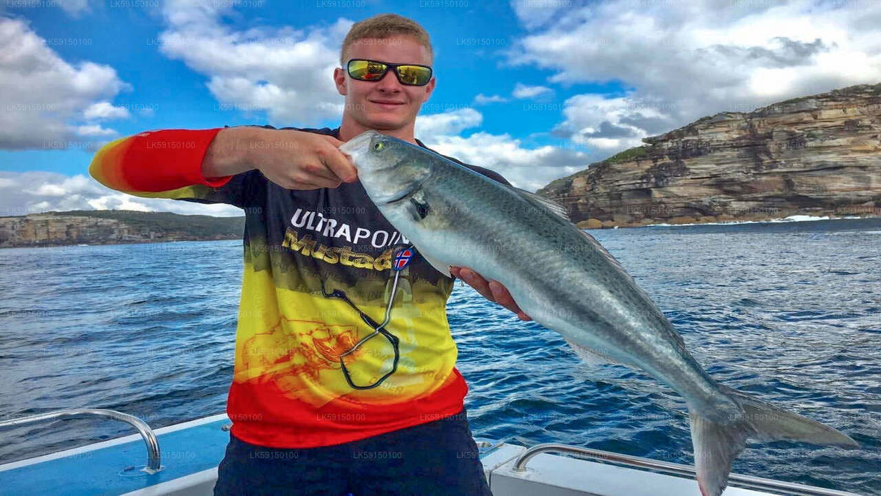 Excursion en bateau de pêche en haute mer au départ de Kalpitiya