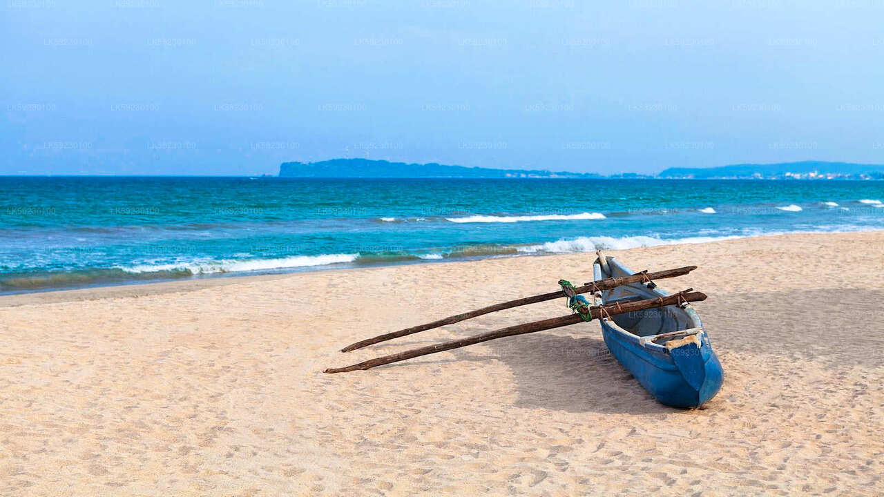Excursion en bateau de pêche en haute mer au départ de Trincomalee