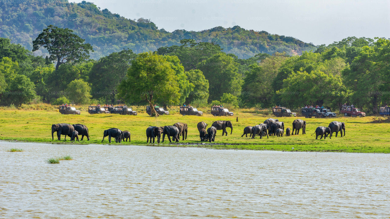Safari dans le parc national du Bundala depuis Ahungalla