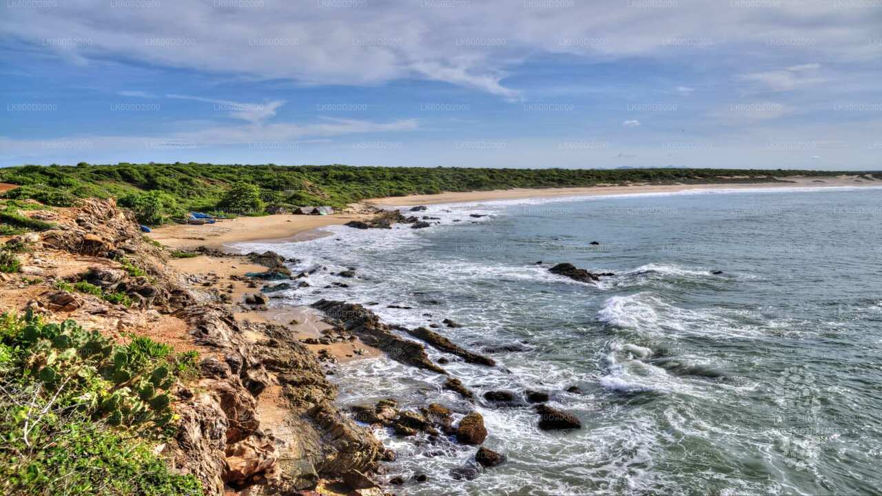 Safari au parc national du Bundala depuis Bentota