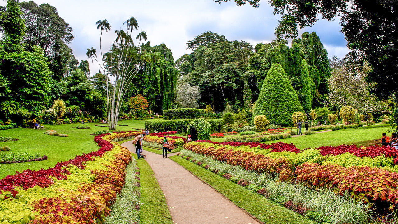 Visite de la ville de Kandy au départ de Beruwala