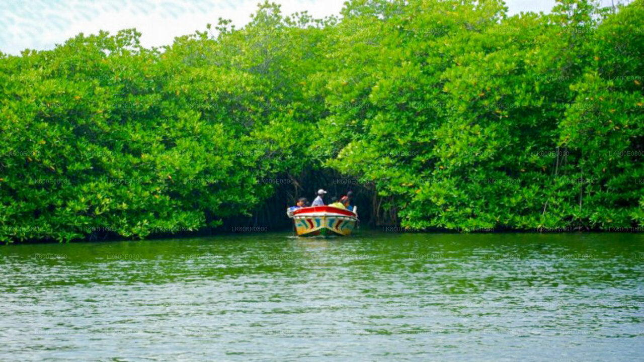 Visite de la ville de Bentota et Galle depuis Beruwala