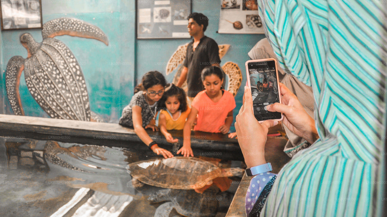 Handungoda, Galle et Kosgoda depuis Colombo