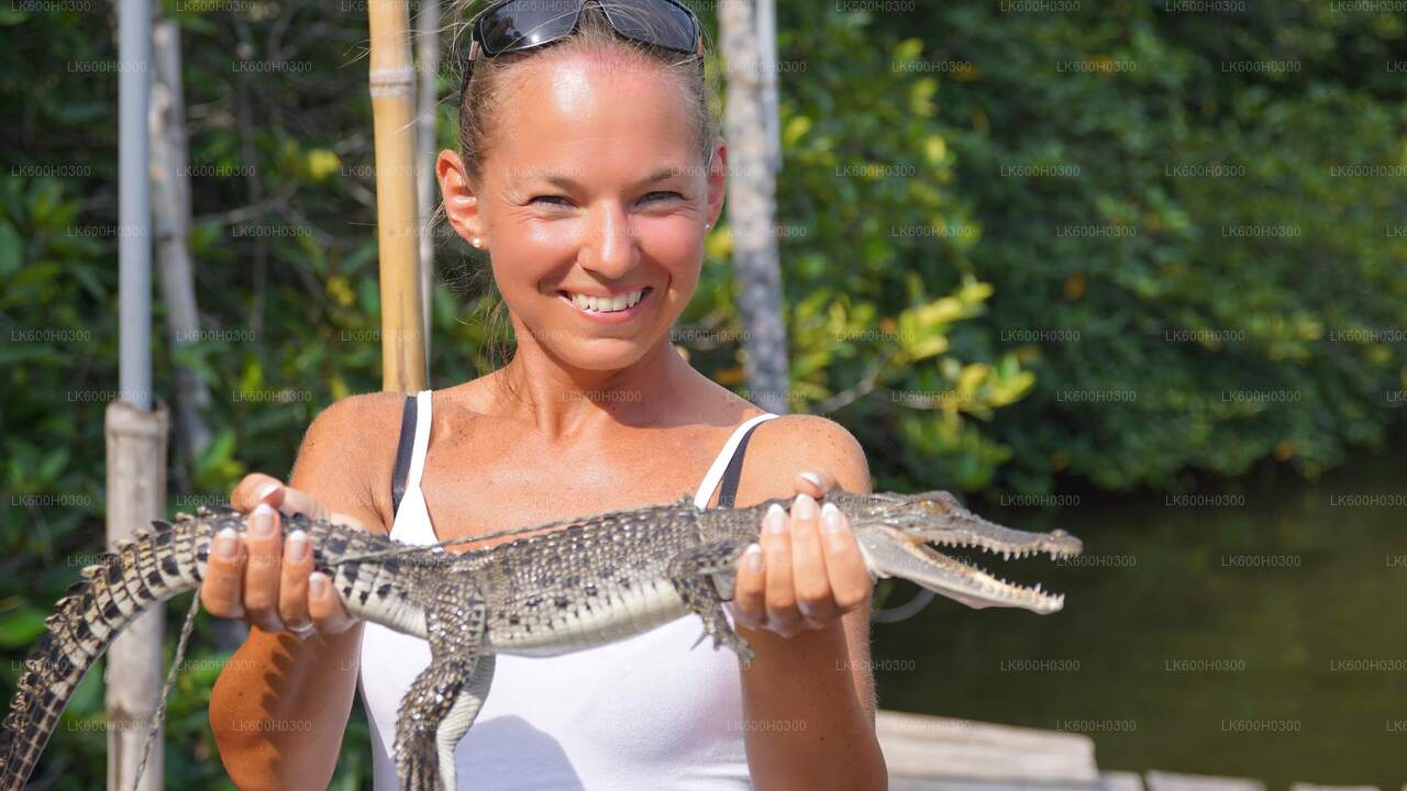 Balade côtière à Galle depuis Colombo