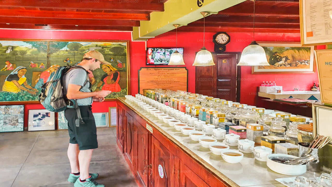 Points forts de la côte sud depuis Colombo