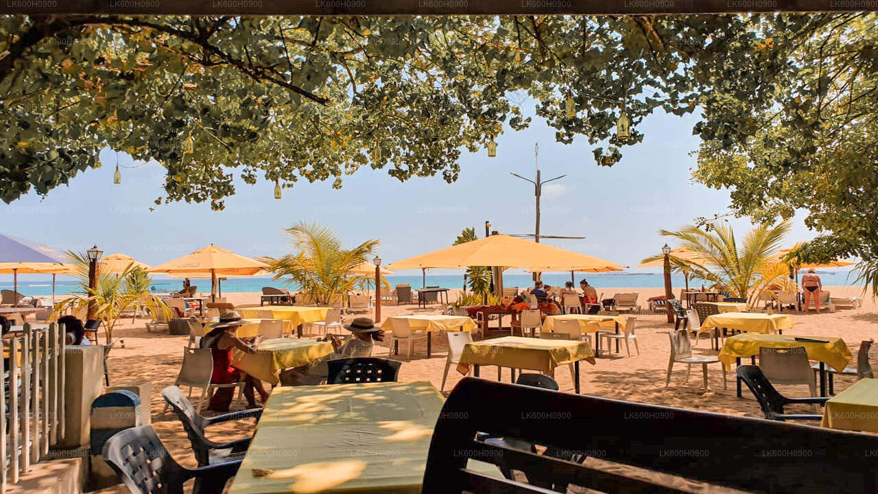 Points forts de la côte sud depuis Colombo