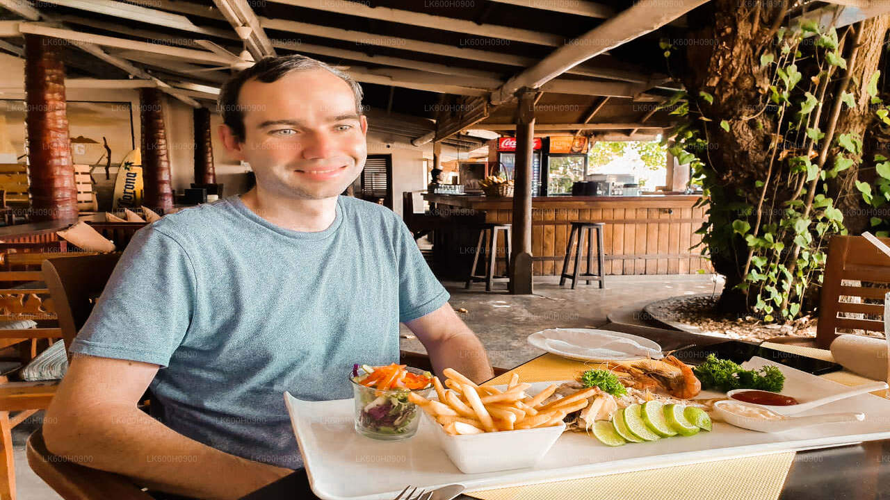 Points forts de la côte sud depuis Colombo