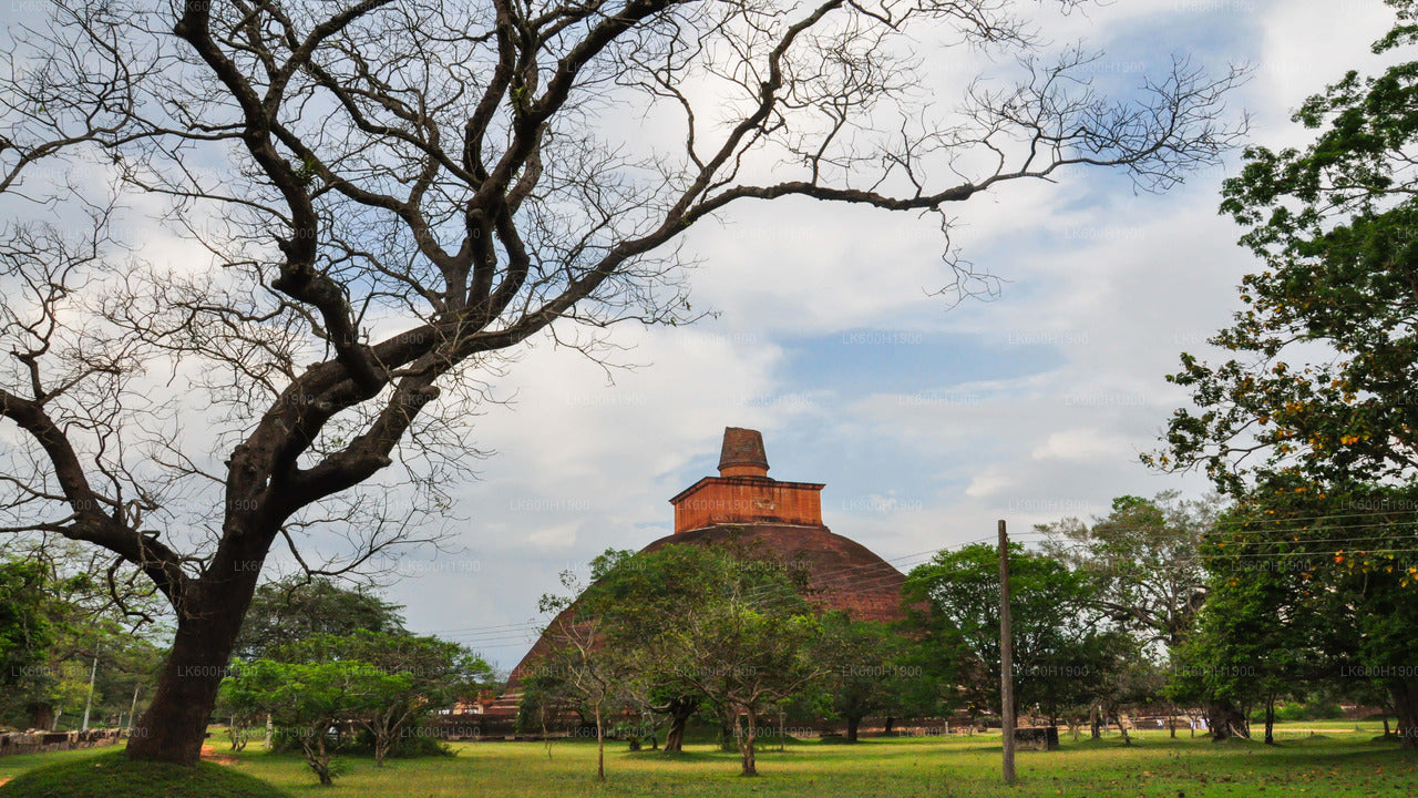 Ville sacrée d'Anuradhapura depuis Colombo