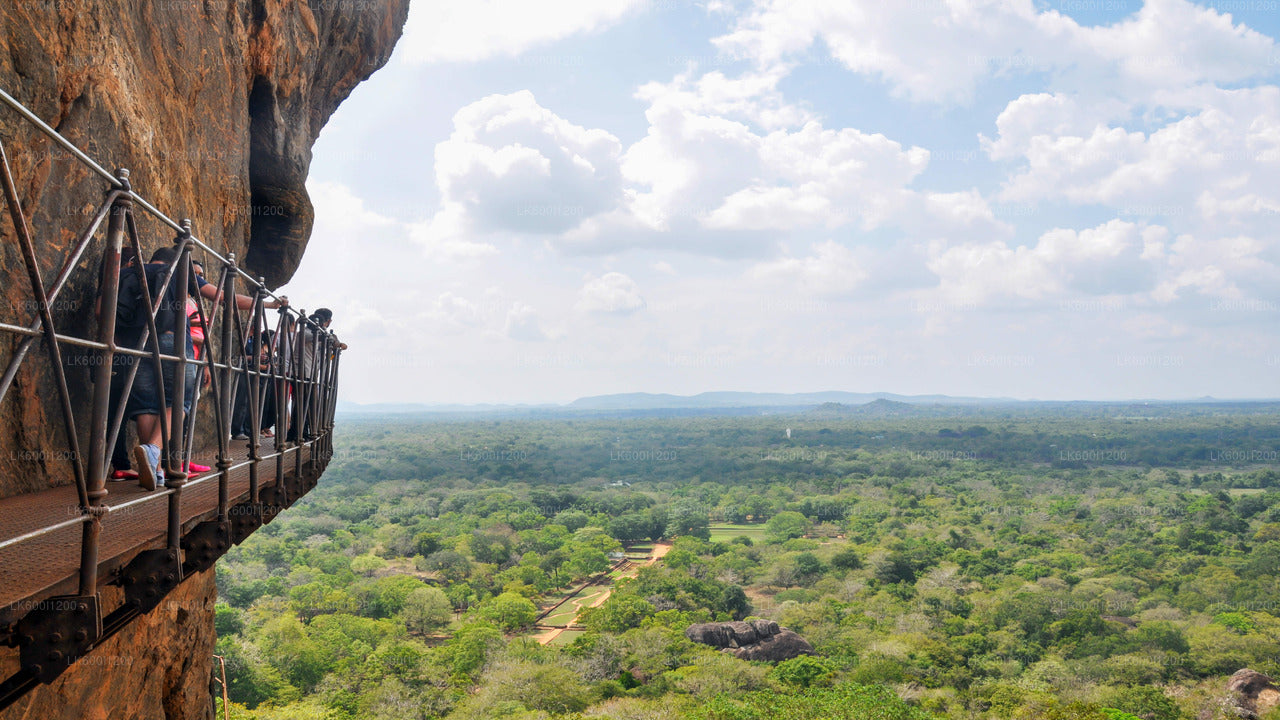 Safari sur les rochers de Sigiriya et les éléphants sauvages au départ de Dambulla