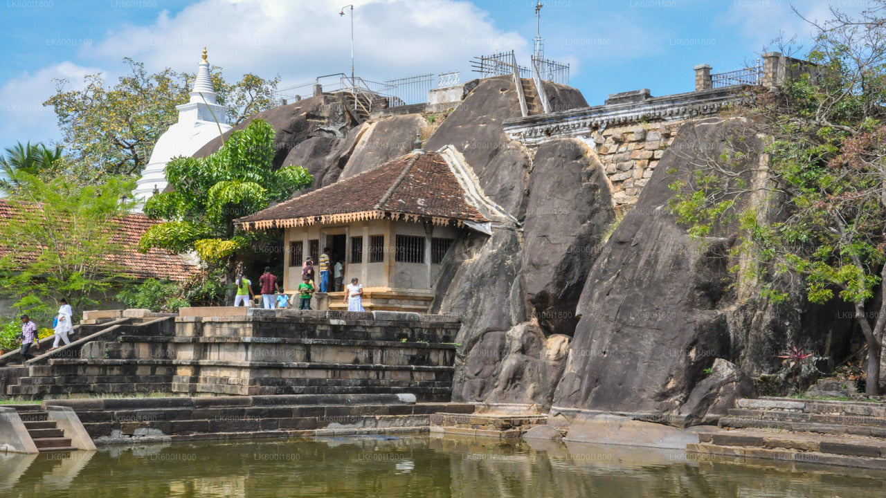 Visite des icônes bouddhistes d'Anuradhapura au départ de Dambulla