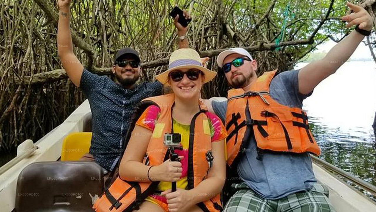 Visite de la ville de Bentota au départ de Galle