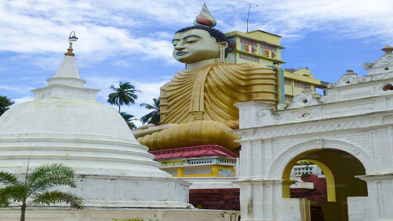 Visite des temples cachés et des côtes isolées au départ de Galle