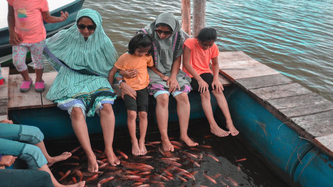 Balapitiya, Handunugoda et Galle de Bentota