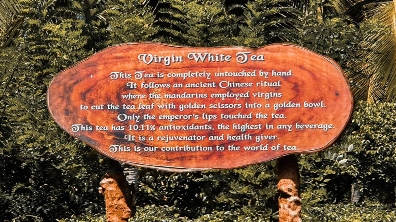 Balapitiya, Handunugoda et Galle de Bentota