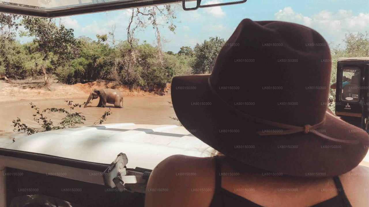 Safari au parc national de Yala au départ de Tangalle