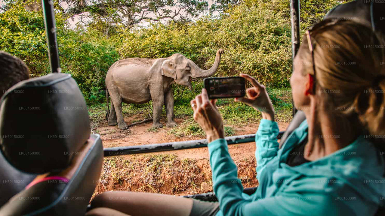 Safari dans le parc national de Wasgamuwa au départ de Polonnaruwa