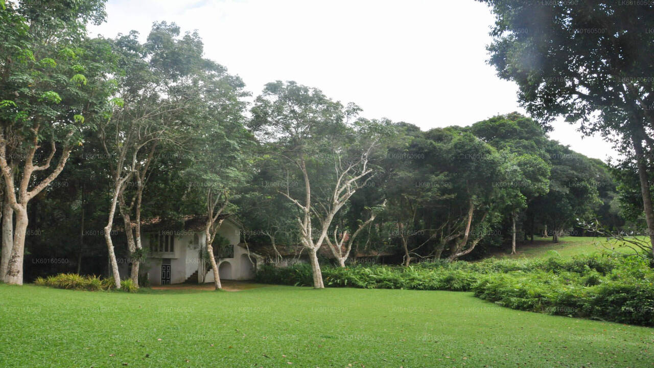 Visite de la ville de Bentota au départ de Kalutara