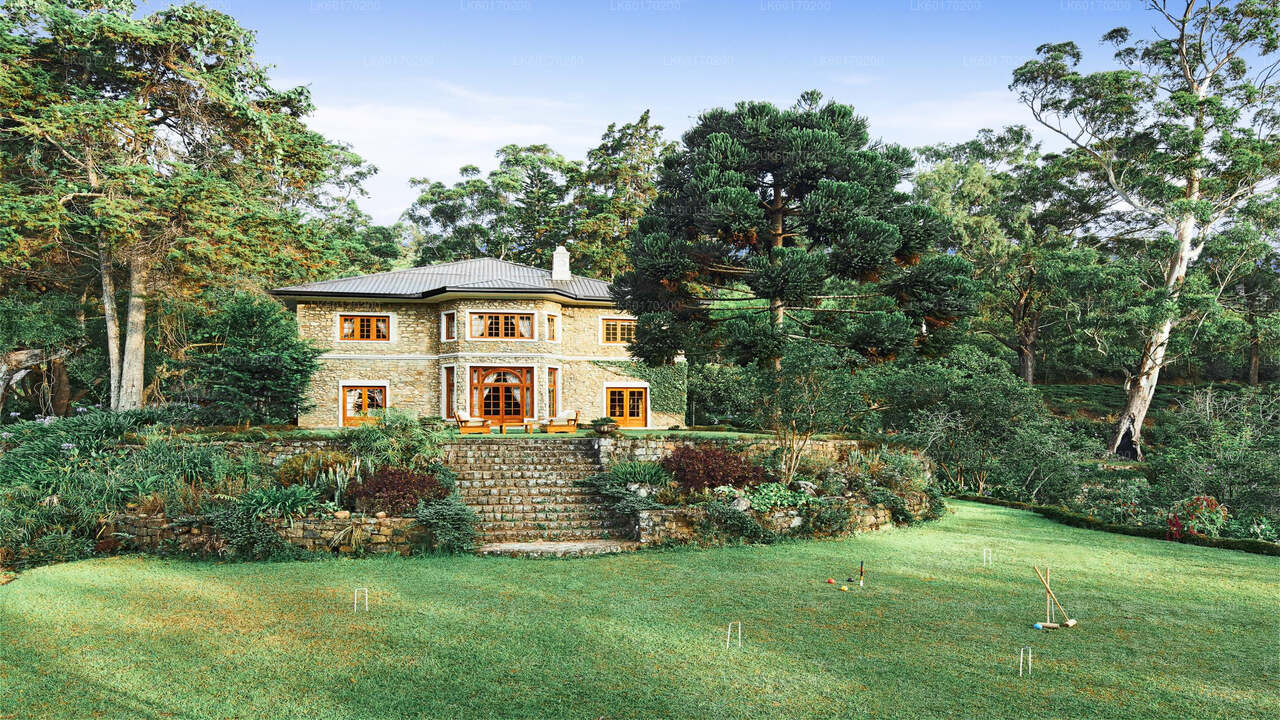 Nuwara Eliya Highlands depuis Kandy