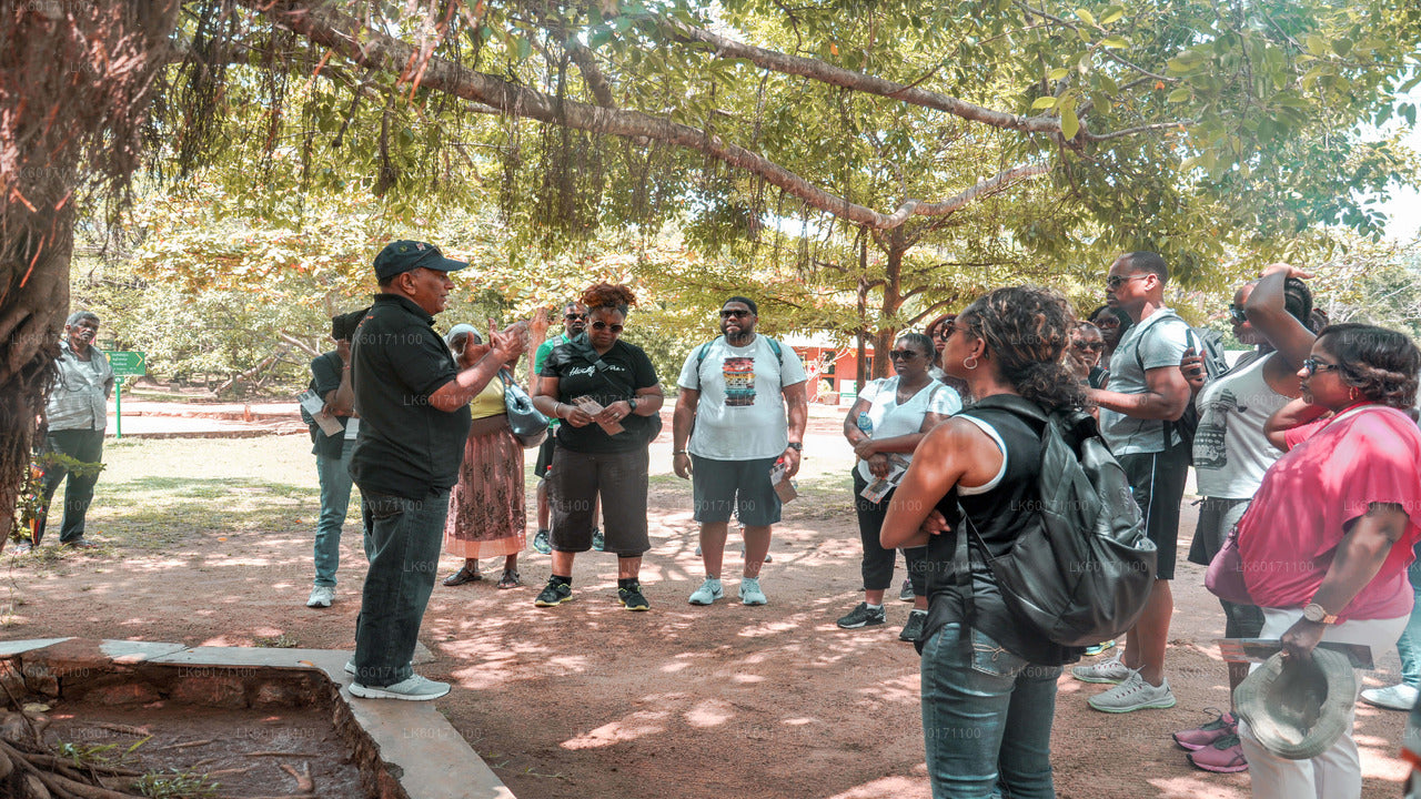 Sigiriya et Dambulla depuis Kandy